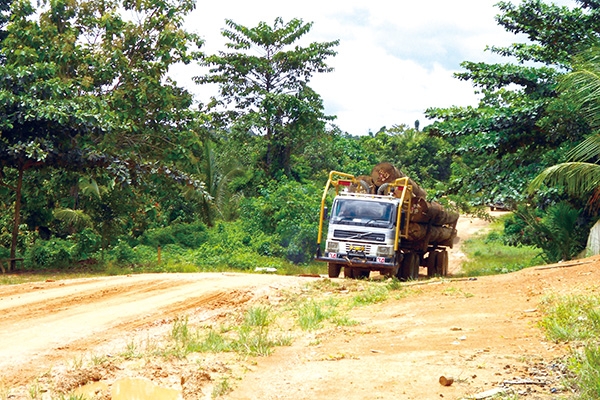 Wood In The Construction Of Forest Roads