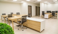 Life Cycle Assessment As An Enabler  Of An Environmental Sustainability Strategy Evolution Amid Institutional Pressures:  A Best Practice From The Furniture Industry