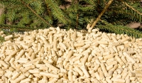 Forecast Of Future Wood Pellet Price Trends
