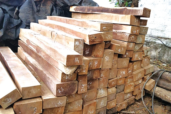 Tropical Timber Market Report