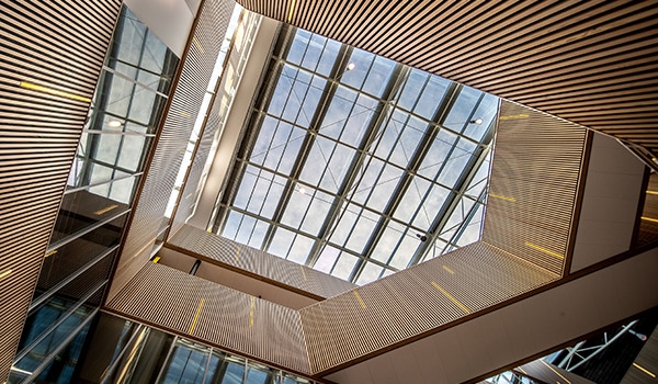 Properties Of Innovative Biobased Particleboards For Application In External Building