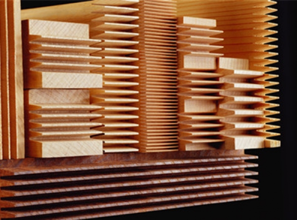 Evolution of Lightweight Wood Composites