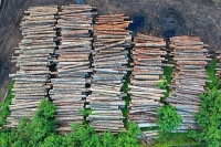 What Raw Material Prices To Expect In Q3 &amp; Q4 This Year?