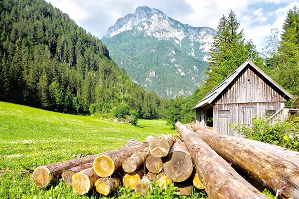 US Forest Owner Willingness To Accept Payment For Forest Carbon