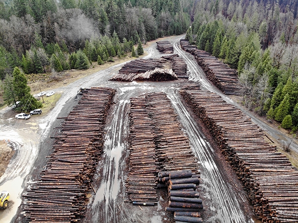 Associations between Work Resources and  Work Ability among Forestry Professionals