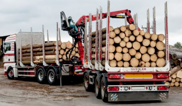 Malaysia&rsquo;s Timber Exports May Gain Competitive Edge In The US Market