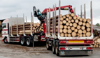 Malaysia&rsquo;s Timber Exports May Gain Competitive Edge In The US Market