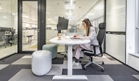 Stylishly Sustainable: Crafting An Eco-Friendly Future For Workspaces