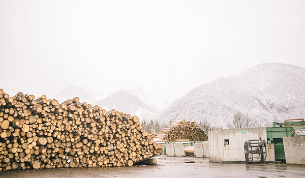 Current Austria's Wood Market Report