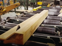 A Regional Look At  North American Hardwoods