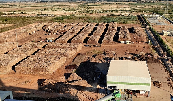 Image: The wood yard at Greenpanel&rsquo;s production site in Routhusuramala, Andhra Pradesh, India.
